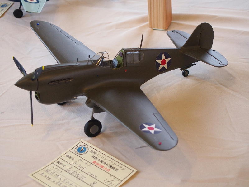 Curtis P-40E